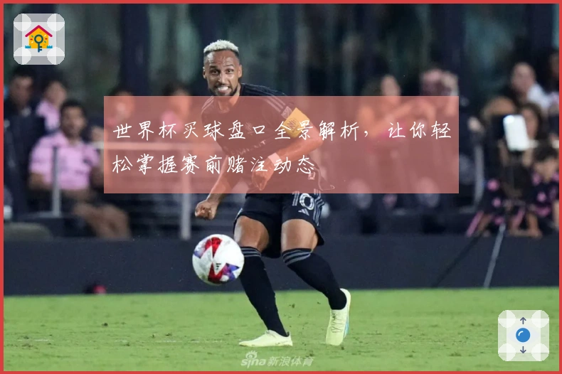 世界杯买球盘口全景解析，让你轻松掌握赛前赌注动态