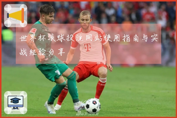世界杯滚球投注网站使用指南与实战经验分享