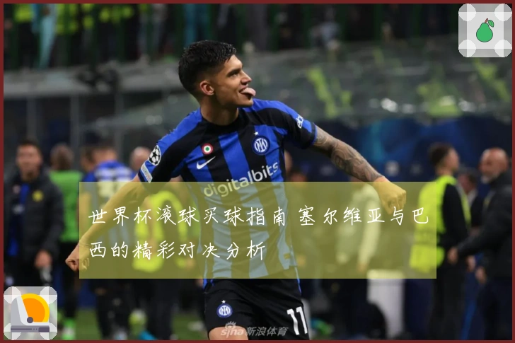 世界杯滚球买球指南 塞尔维亚与巴西的精彩对决分析