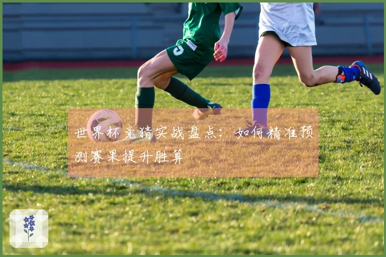 世界杯竞猜实战盘点：如何精准预测赛果提升胜算