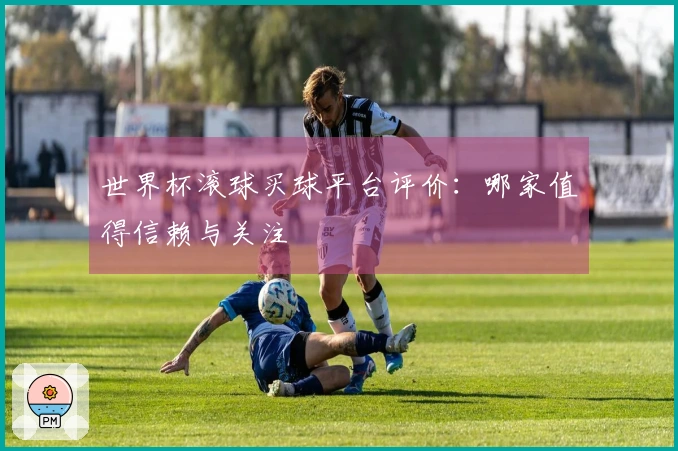 世界杯滚球买球平台评价：哪家值得信赖与关注