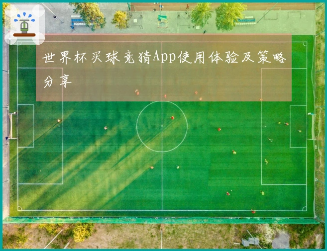 世界杯买球竞猜App使用体验及策略分享