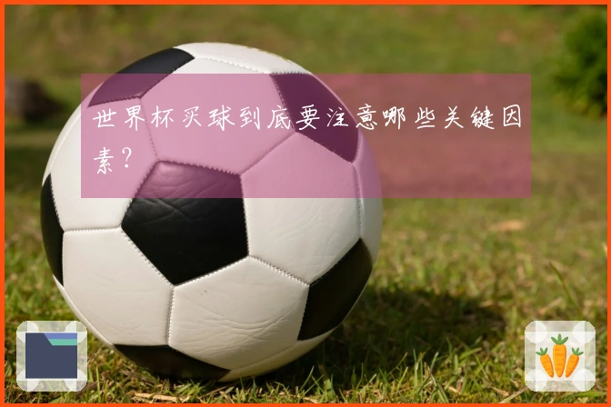 世界杯买球到底要注意哪些关键因素？