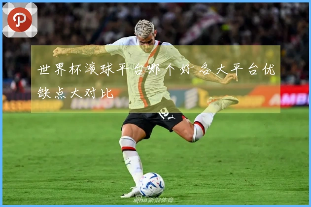 世界杯滚球平台哪个好 各大平台优缺点大对比