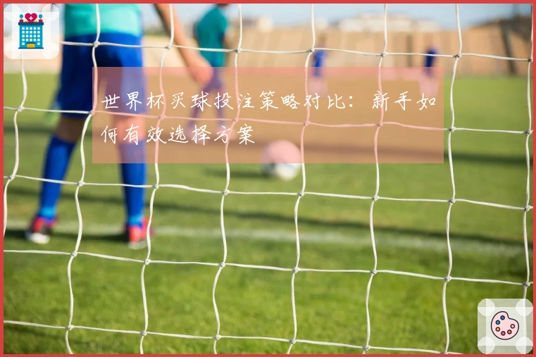 世界杯买球投注策略对比：新手如何有效选择方案
