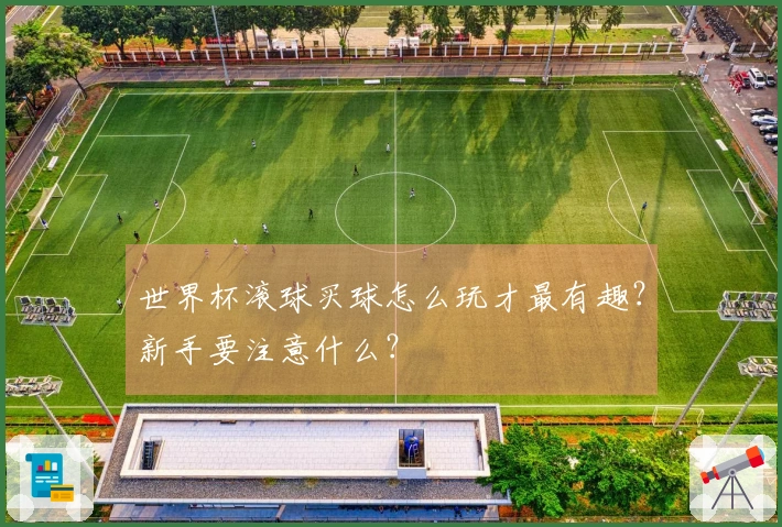 世界杯滚球买球怎么玩才最有趣？新手要注意什么？