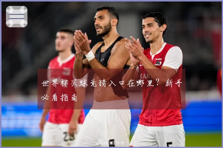 世界杯买球竞猜入口在哪里？新手必看指南