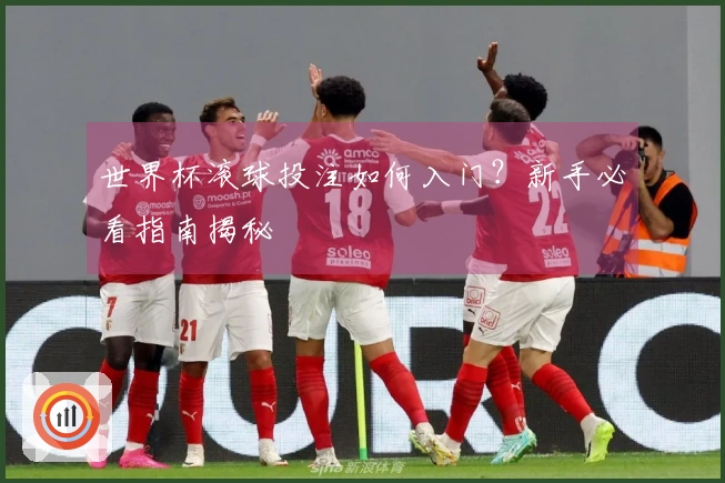 世界杯滚球投注如何入门？新手必看指南揭秘