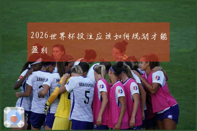 2026世界杯投注应该如何规划才能盈利