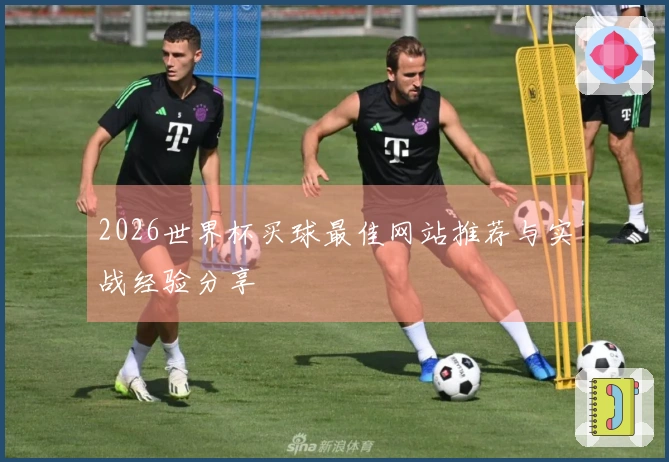 2026世界杯买球最佳网站推荐与实战经验分享