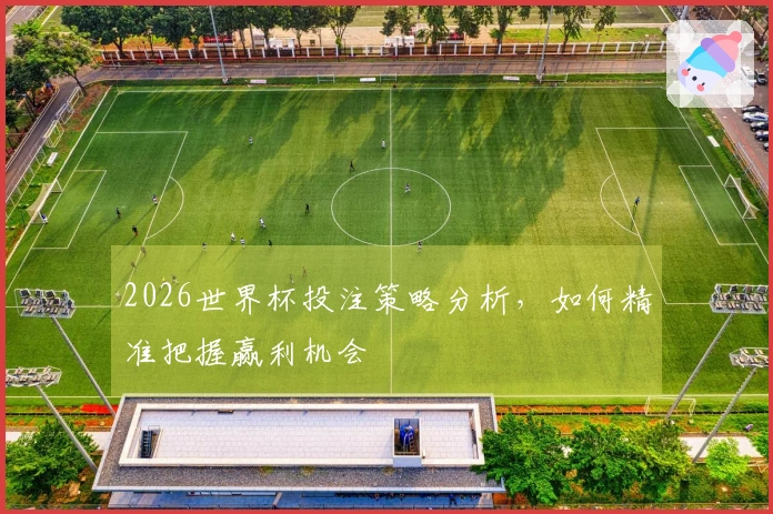 2026世界杯投注策略分析，如何精准把握赢利机会