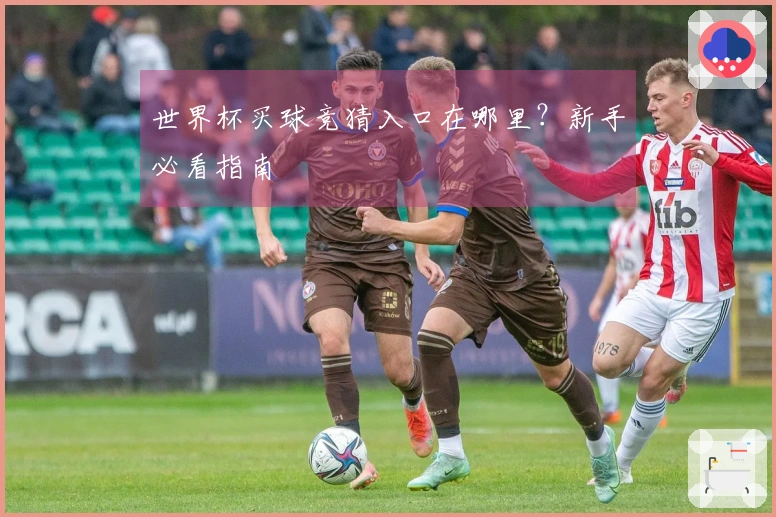 世界杯买球竞猜入口在哪里？新手必看指南
