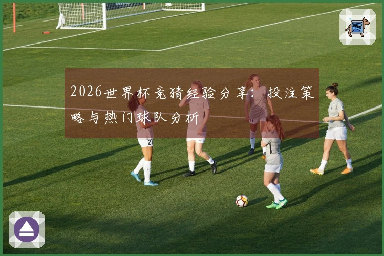 2026世界杯竞猜经验分享：投注策略与热门球队分析