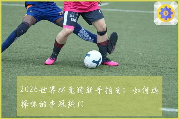 2026世界杯竞猜新手指南：如何选择你的夺冠热门