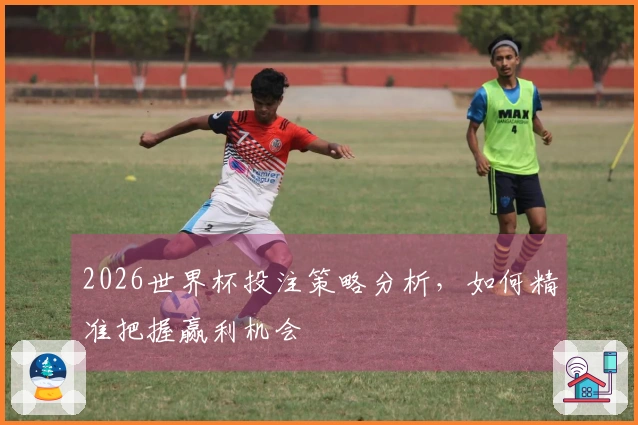 2026世界杯投注策略分析，如何精准把握赢利机会