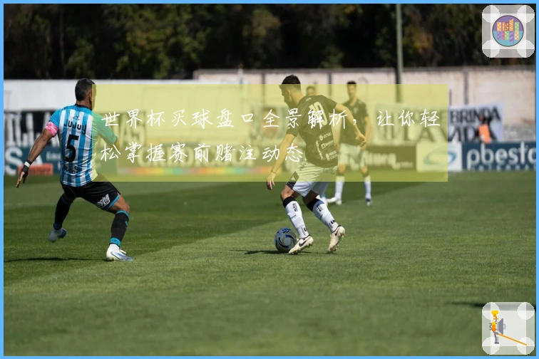 世界杯买球盘口全景解析，让你轻松掌握赛前赌注动态