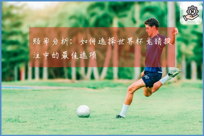 赔率分析：如何选择世界杯竞猜投注中的最佳选项
