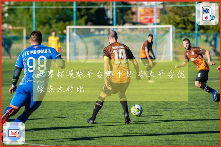 世界杯滚球平台哪个好 各大平台优缺点大对比