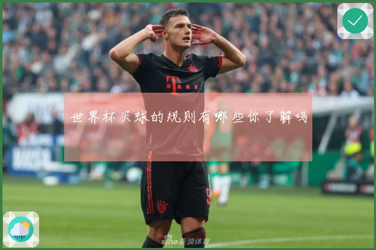 世界杯买球的规则有哪些你了解吗