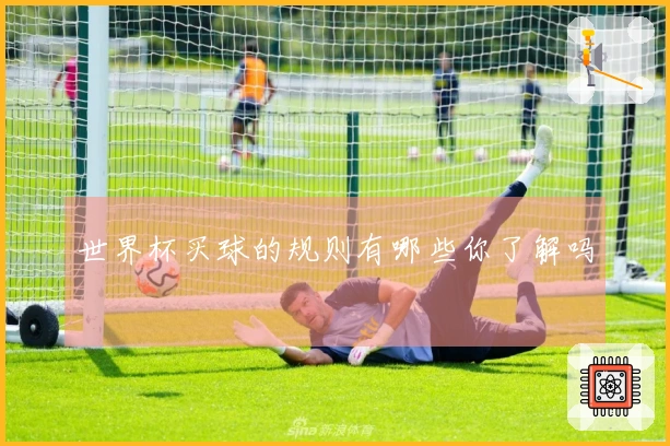 世界杯买球的规则有哪些你了解吗