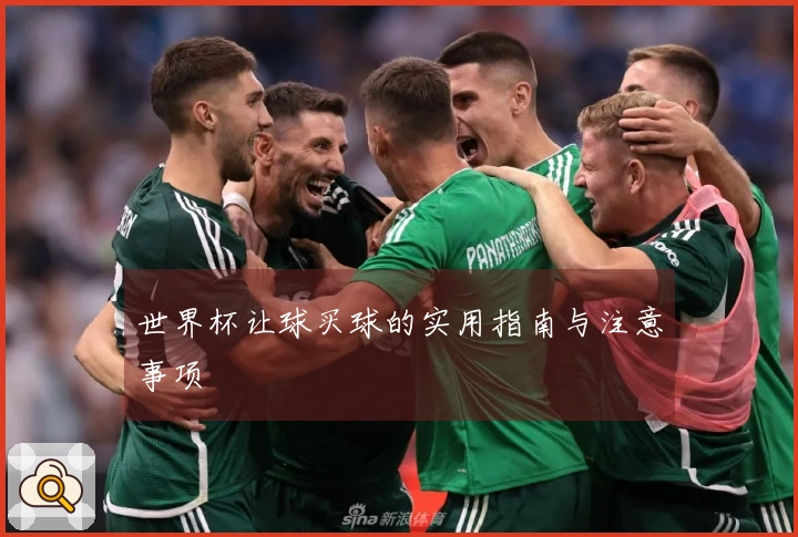 世界杯让球买球的实用指南与注意事项